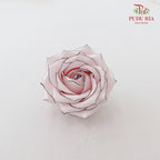 18 Bloom Soap Flowers Black Liner Light Pink - FBA080#3 - Pudu Ria Florist Southern