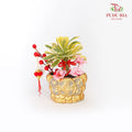 CNY Potted Plant Arrangement 2024#8