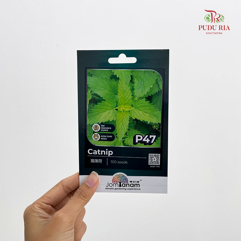Flowers & Herbs Seeds