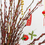 CNY Arrangement 2024#27