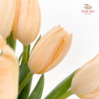 Tulip Dyed Colour Orange 郁金香 - (8-10 Stems)