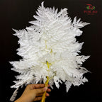Preservative Fern - White