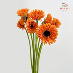 Gerbera Spider Orange - (8-10 Stems)