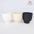 TY-8815 Pot
