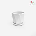 TX72 44034 White Pot