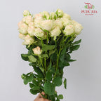 Rose Spray Summer Rose (6 Stems) - Pudu Ria Florist Southern
