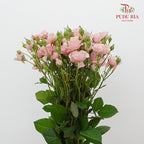 Rose Spray Lilica (8-10 Stems) - Pudu Ria Florist Southern