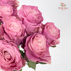 Rose Mondial Dyed Dusty Flamingo 2 - (8-10 Stems)