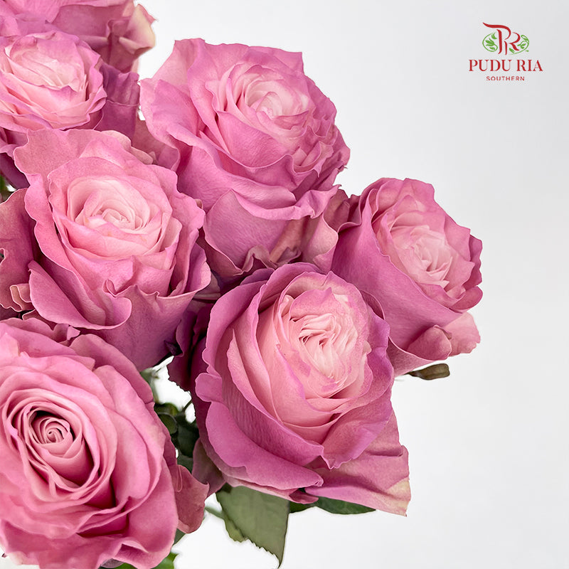 Rose Mondial Dyed Dusty Flamingo 2 - (8-10 Stems)