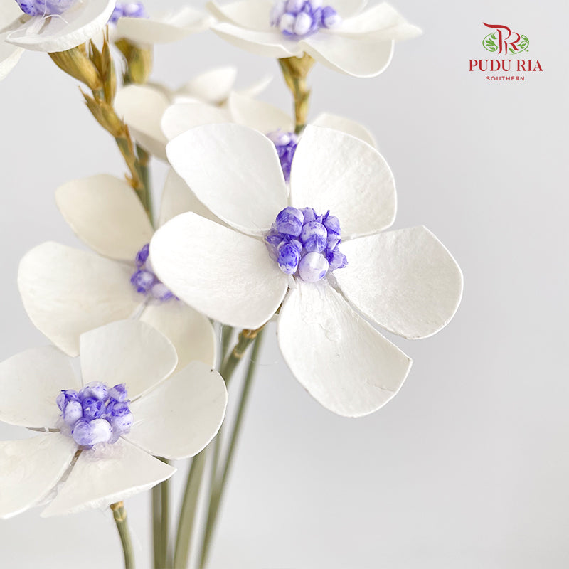 Dry Violet - White Center Purple