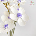 Dry Violet - White Center Purple
