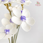 Dry Violet - White Center Purple