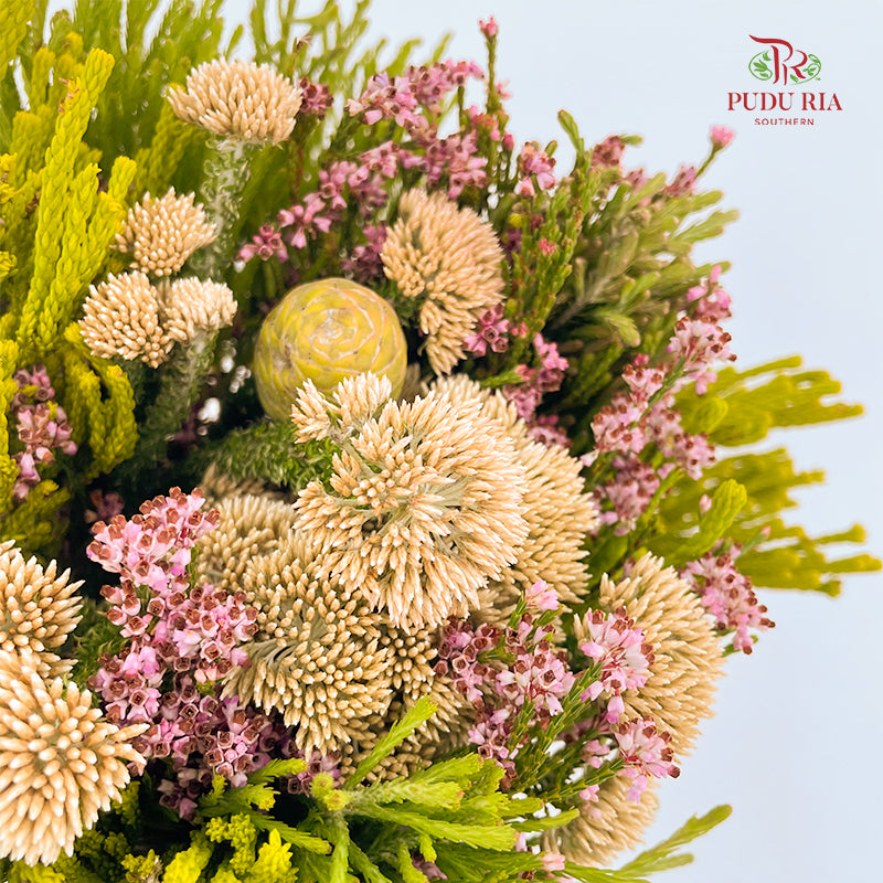 Safari Mix Cone / Cape Cone (4) - (Per Bundle)