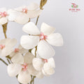 Dry Violet - White Center Pink