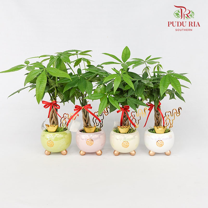 CNY Potted Plant Arrangement 2024#20