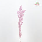 Dry Orange Leaf - Soft Purple