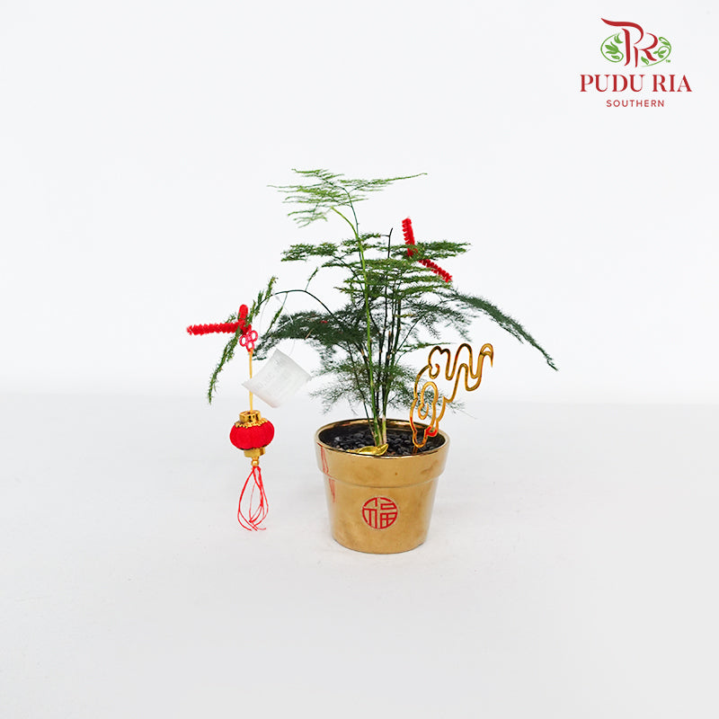 CNY Potted Plant Arrangement 2024#51