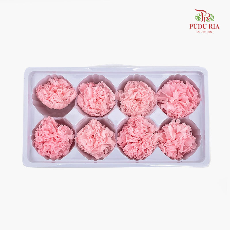 8 Bloom Carnation - Soft Pink