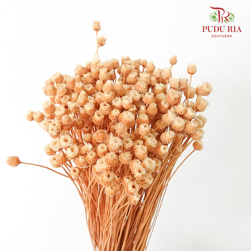 Dry Happy Flower - White - Pudu Ria Florist Southern