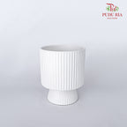 TY-8843 Pot