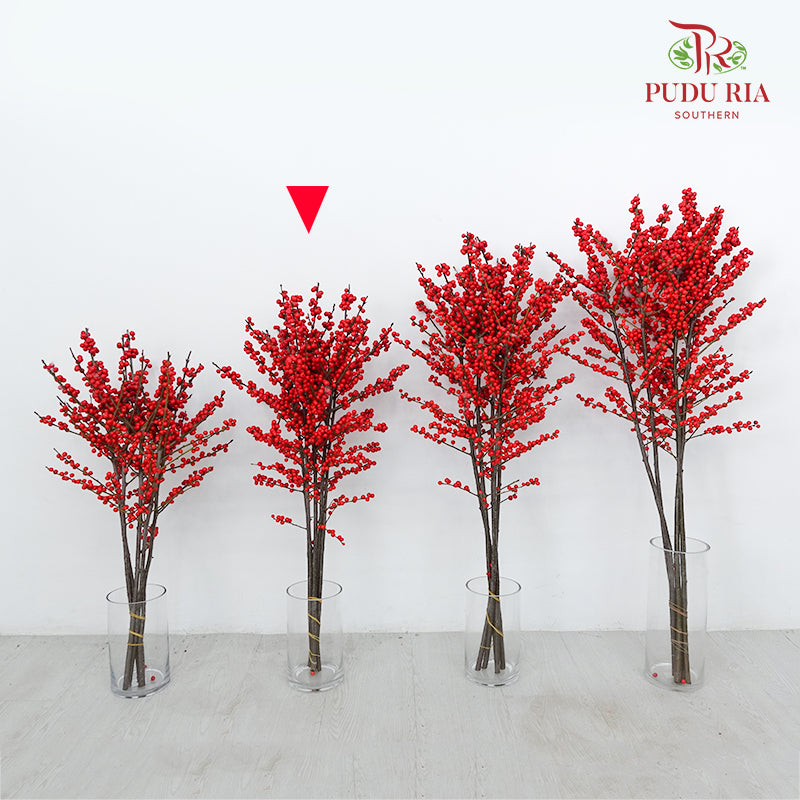 Ilex Purpurea Hassk Red - (5 Stems)
