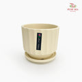TY-6804 Beige Pot