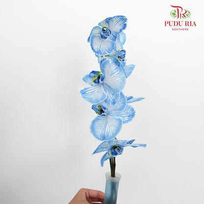 Phalaenopsis Orchid Blue - per stem - Pudu Ria Florist Southern