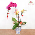 CNY Potted Plant Arrangement 2024#75