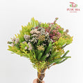Safari Mix Cone / Cape Cone (3) - (Per Bundle)