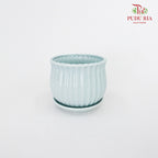 JZ-DW24147 Asst Pot