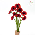 Gerbera Mini Red/Orange 非洲菊 - (8-10 Stems)