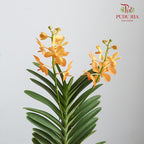 Mokara Orchid Pot - Orange - Pudu Ria Florist Southern