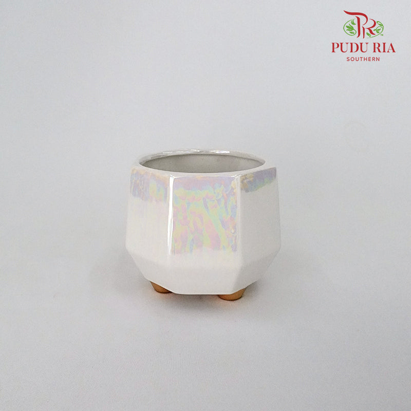JZ-DW0288 Asst Pot