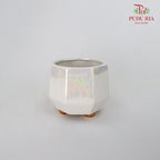 JZ-DW0288 Asst Pot