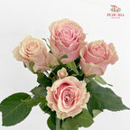Rose Pink Athena - (8-10 Stems)
