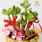 CNY Potted Plant Arrangement 2024#18