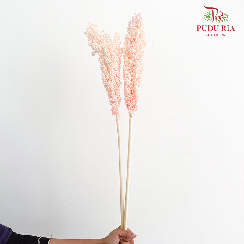 Dry Sorghum - Pink