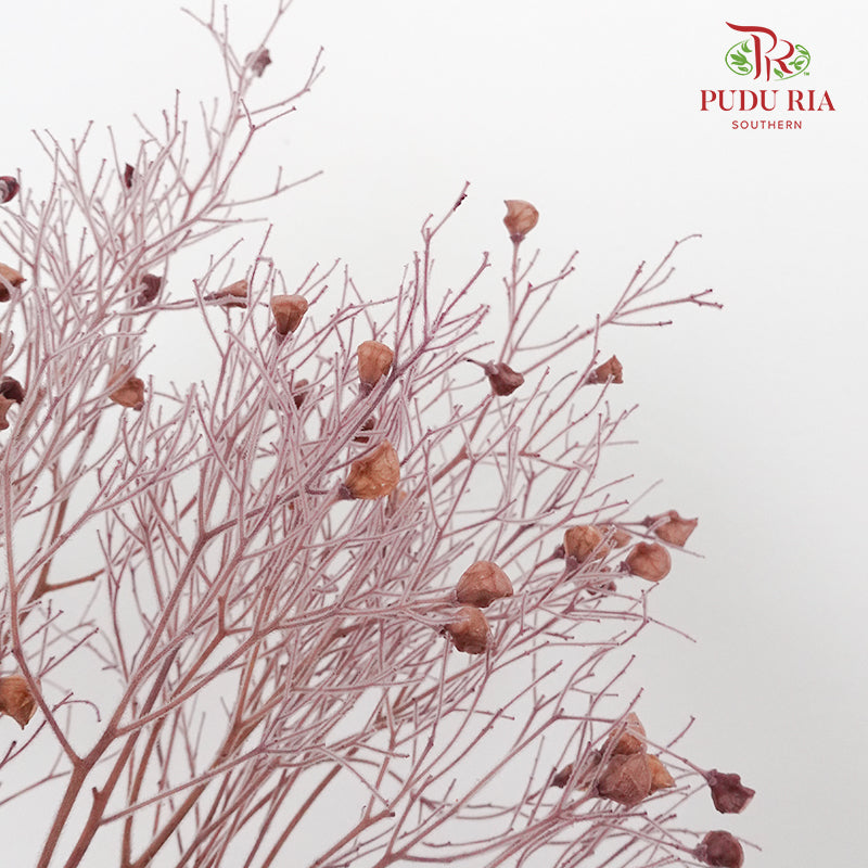 Dry Dream Grass Purple - Pudu Ria Florist Southern