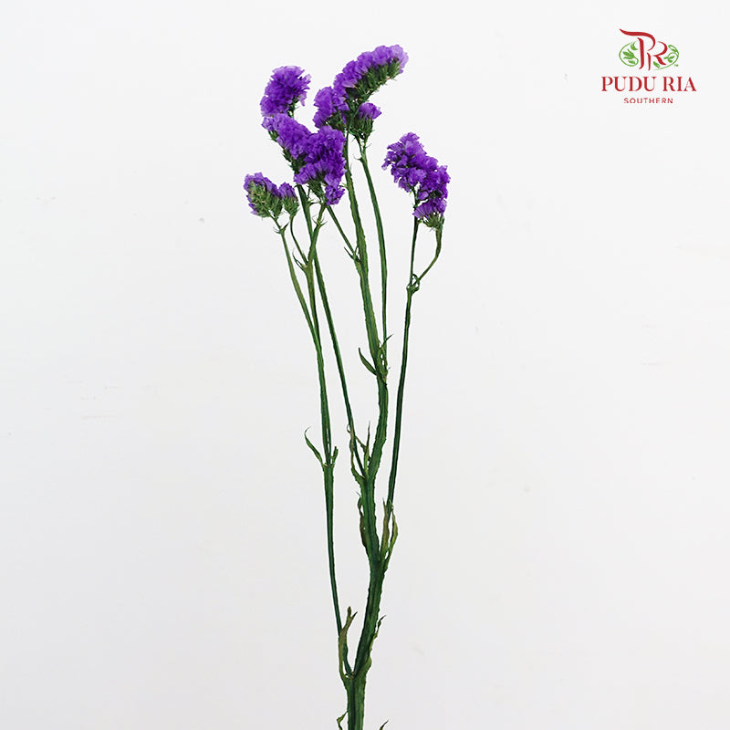 Dry Statice - Purple