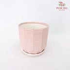 GS12 Pink Pot