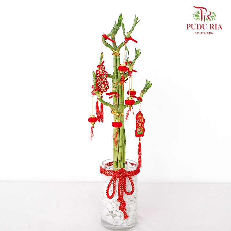 CNY Arrangement 2024#4