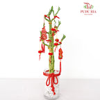 CNY Arrangement 2024#4