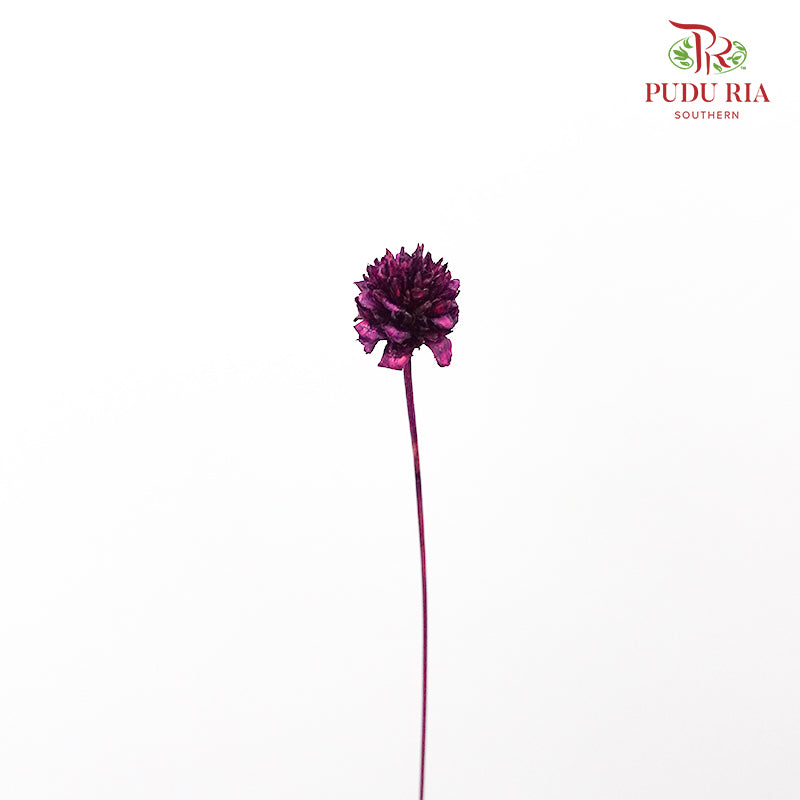 Dry Hill Flower - Purple - Pudu Ria Florist Southern