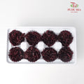 8 Bloom Carnation - Red/Black - Pudu Ria Florist Southern