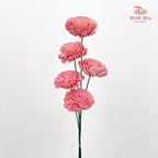 Dry Aeschynomene (Big) - Pink