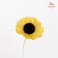 Dry Sola Sunflower Yellow - Per Stem