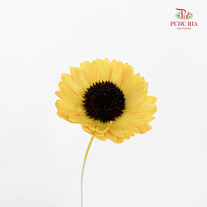 Dry Sola Sunflower Yellow - Per Stem