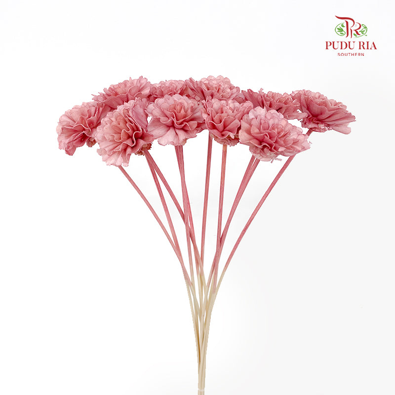 Dry Sola Marigold Red - 10 Stems