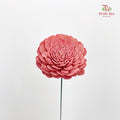 Dry Aeschynomene (Big) - Pink