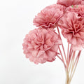 Dry Sola Marigold Red - 10 Stems